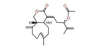 Xeniolide C
